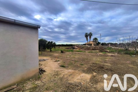 Māja pārdošanā Elche, Alicante, Spānijā 4 istabas, 237 m2 Nr. 152361 - attēls 14