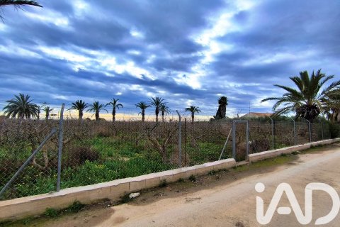 Māja pārdošanā Elche, Alicante, Spānijā 4 istabas, 237 m2 Nr. 152361 - attēls 24