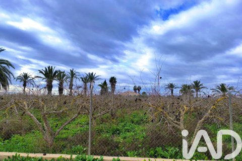 Māja pārdošanā Elche, Alicante, Spānijā 4 istabas, 237 m2 Nr. 152361 - attēls 26