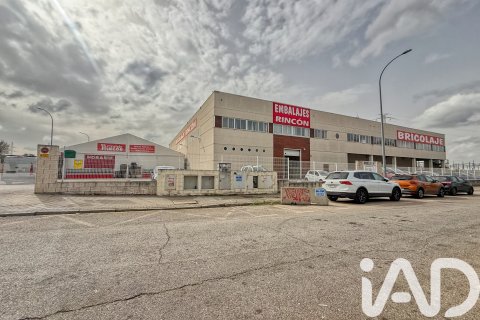 Commercial property in Villaviciosa de Odon, Madrid, Spain 8148 sq.m. No. 188411