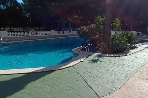 Dzīvoklis pārdošanā Dehesa De Campoamor, Alicante, Spānijā 3 istabas, 92 m2 Nr. 115383 - attēls 26