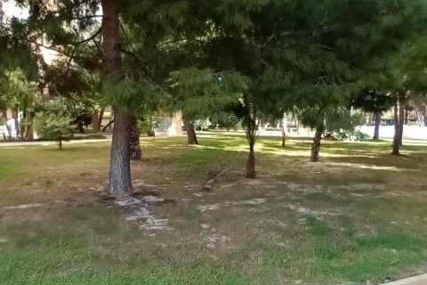 Dzīvoklis pārdošanā Dehesa De Campoamor, Alicante, Spānijā 3 istabas, 92 m2 Nr. 115383 - attēls 25