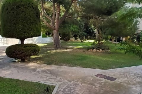 Dzīvoklis pārdošanā Dehesa De Campoamor, Alicante, Spānijā 3 istabas, 92 m2 Nr. 115383 - attēls 28