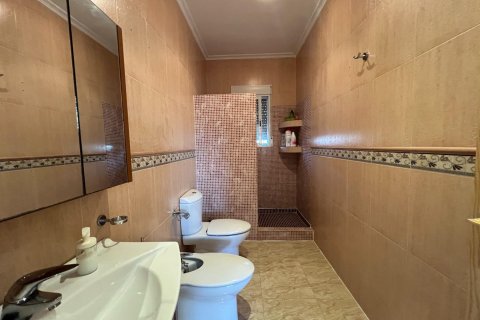 Villa zum Verkauf Dolores, Alicante, Spanien 3 Schlafzimmer, 271 m2 Nr. 115388 - Foto 10