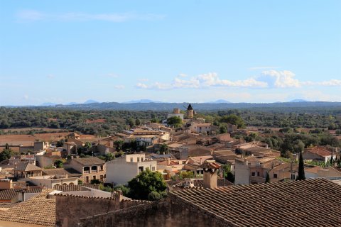 Villa in affitto Santa Eugenia, Mallorca, Spagna 3 camere da letto, 287 mq. N° 119896 - foto 4