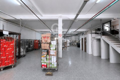 Продажа коммерческой недвижимости в Пуколь, Валенсия, Испания 381м2 №178687 - фото 8