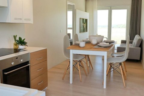 Продажа квартиры в Торревьеха, Аликанте, Испания 1 спальня, 70.15м2 №166032 - фото 2