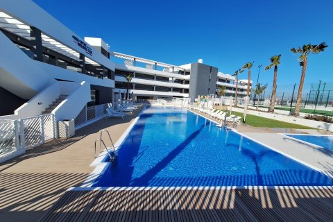 Casa in affitto a Torrevieja, Alicante, Spagna 2 camere da letto, 134 mq. N° 166027 - foto 2