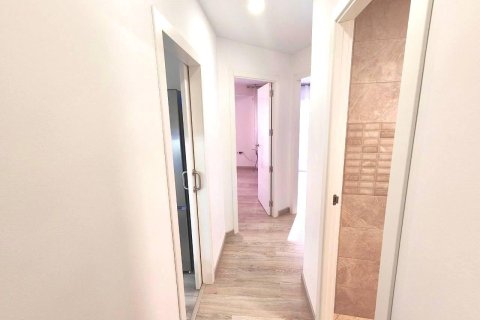 Apartamento en alquiler en Alicante, España 3 dormitorios, 85 m2 No. 166029 - foto 3