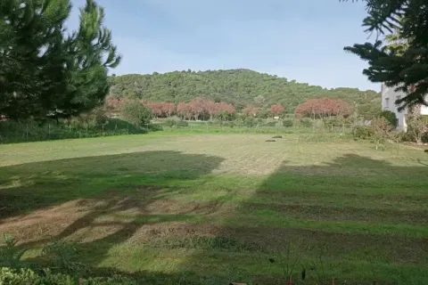 Land plot for sale in Malgrat de Mar, Barcelona, Spain No. 166906 - photo 9