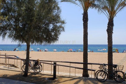 Land plot for sale in Malgrat de Mar, Barcelona, Spain No. 166906 - photo 14