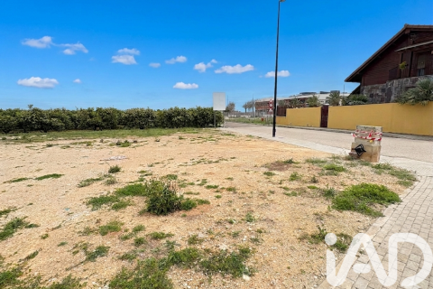Zemes gabals pārdošanā Palmera, Valencia, Spānijā 1112 m2 Nr. 172815 - attēls 4