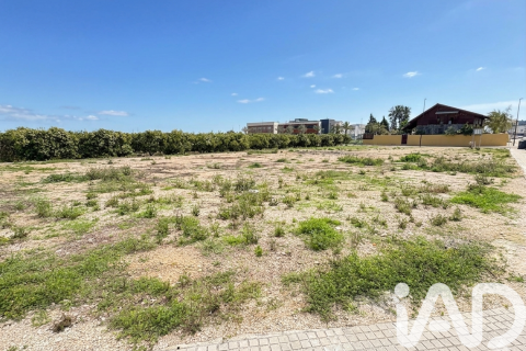 Zemes gabals pārdošanā Palmera, Valencia, Spānijā 1112 m2 Nr. 172815 - attēls 6