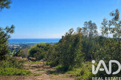Tontti myytävänä Sotogrande, Cadiz, Espanja , 2000 m2 No. 172814 - kuva 2
