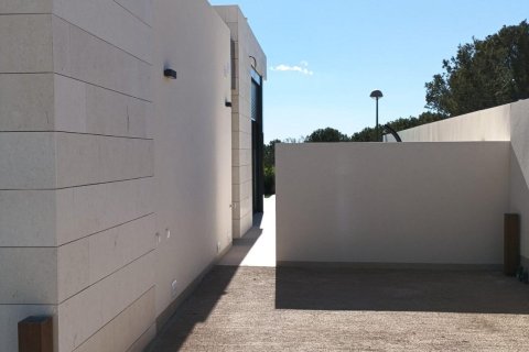 Villa for sale in Pilar de la Horadada, Alicante, Spain 3 bedrooms, 122 sq.m. No. 99280 - photo 25