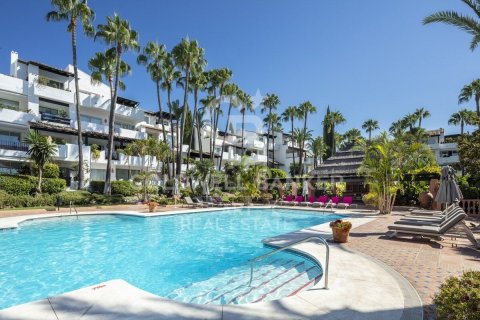 Huoneisto Marbella, Malaga, Espanja 3 makuuhuonetta, 149 m2 No. 157305