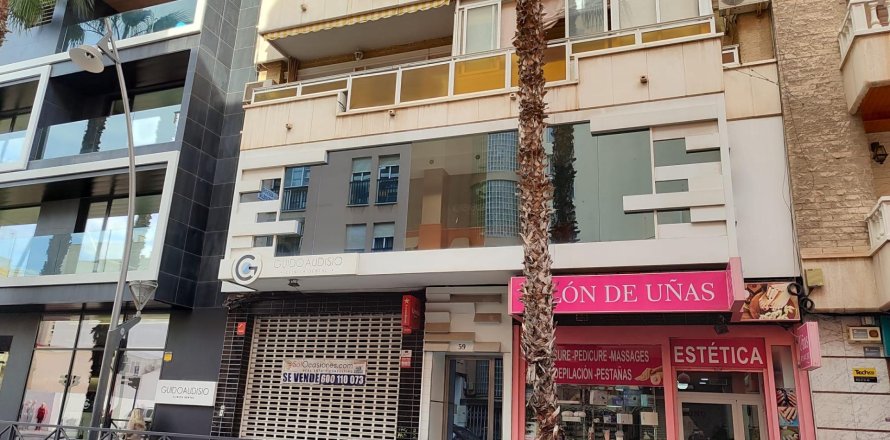 Apartment in Torrevieja, Alicante, Spain 255 sq.m. No. 165318