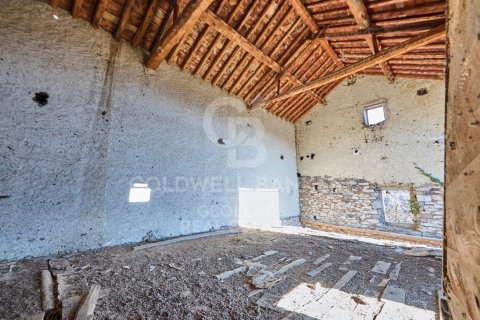 Сasa en venta en España 1 dormitorio, 1300 m2 No. 160101 - foto 13