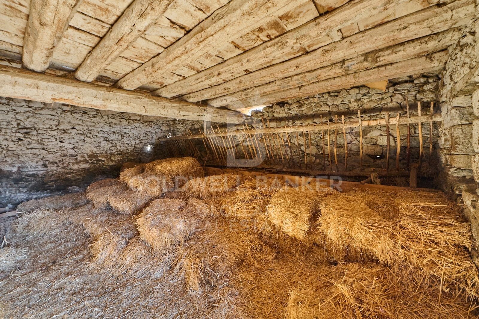 Дом в Испании 1 спальня, 1300м2 №160101