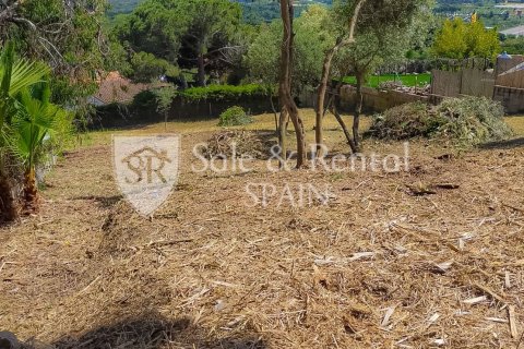 Продажа земельного участка в Кастель-Пладжа-д'Аро, Герона, Испания 1103м2 №166471 - фото 6