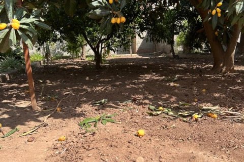 Land plot for sale in Alquerias Del Nino Perdido, Castellon, Spain 262 sq.m. No. 185957 - photo 5
