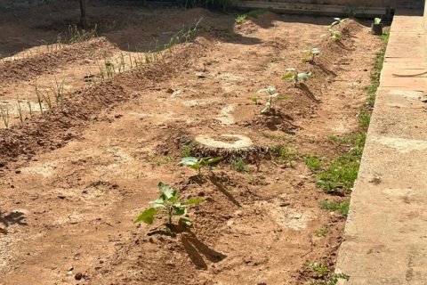 Land plot for sale in Alquerias Del Nino Perdido, Castellon, Spain 262 sq.m. No. 185957 - photo 6