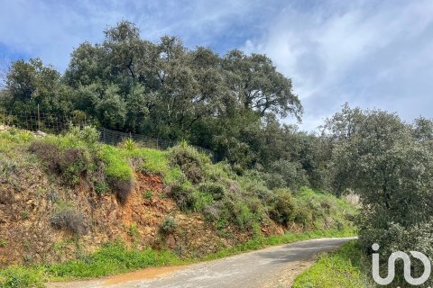 Parcela en venta en Galaroza, Huelva, España 6000 m2 No. 185960 - foto 6