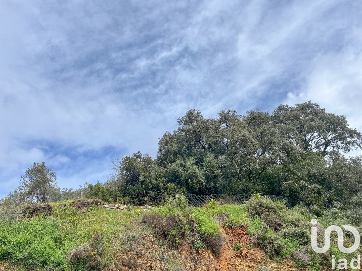 Land plot à Galaroza, Huelva, Espagne 6000 m2 No. 185960