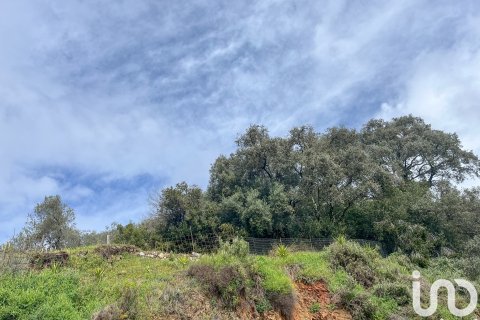 Parcela en venta en Galaroza, Huelva, España 6000 m2 No. 185960 - foto 5