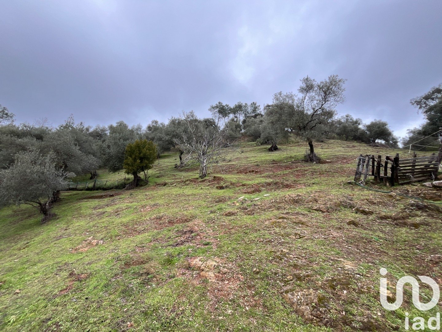 Land plot à Galaroza, Huelva, Espagne 6000 m2 No. 185960