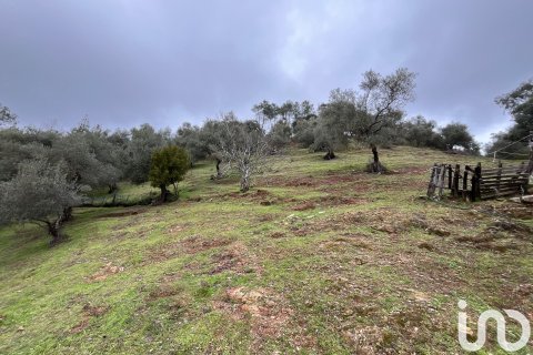 Parcela en venta en Galaroza, Huelva, España 6000 m2 No. 185960 - foto 3