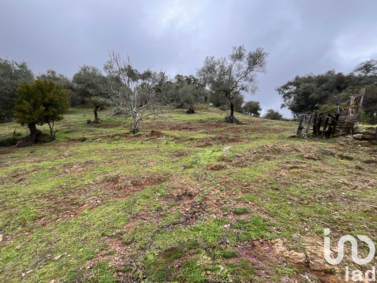 Land plot à Galaroza, Huelva, Espagne 6000 m2 No. 185960