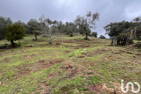 Parcela en venta en Galaroza, Huelva, España 6000 m2 No. 185960 - foto 4