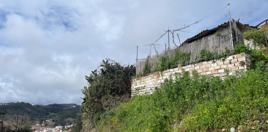Parcela en Galaroza, Huelva, España 6000 m2 No. 185960