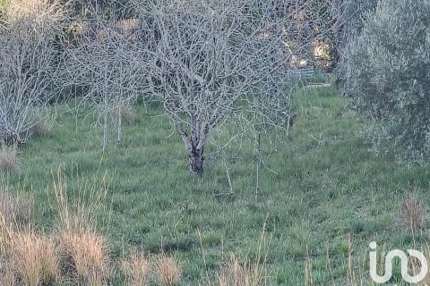Land plot for sale in Segur de Calafell, Tarragona, Spain 1266 sq.m. No. 185959 - photo 3