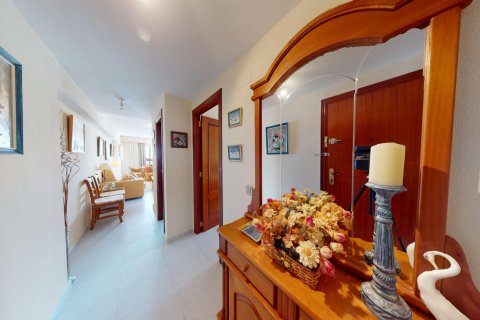 Appartamento in vendita a Benidorm, Alicante, Spagna 2 camere da letto, 55 mq. N° 149526 - foto 15