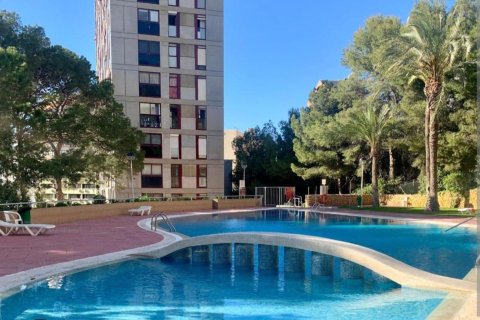 Appartamento a Benidorm, Alicante, Spagna 2 camere da letto, 55 mq. N° 149526