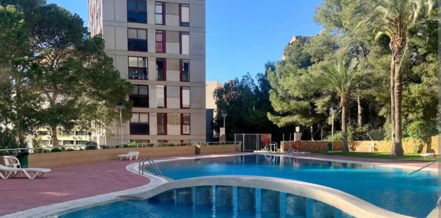 Appartamento a Benidorm, Alicante, Spagna 2 camere da letto, 55 mq. N° 149526