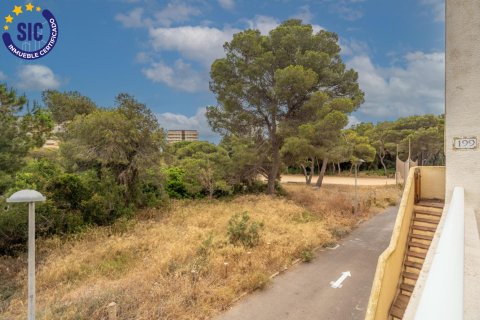 Appartamento in vendita a Valencia, Spagna 4 camere da letto, 112 mq. N° 149525 - foto 16