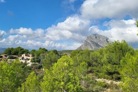 Tomt till salu i Denia, Alicante, Spanien 658 kvm. Nr. 160207 - foto 12