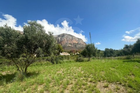 Land zum Verkauf in Javea, Alicante, Spanien 5400 m2 Nr. 160208 - Foto 8