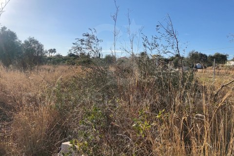 Land zum Verkauf in Javea, Alicante, Spanien 5400 m2 Nr. 160208 - Foto 23