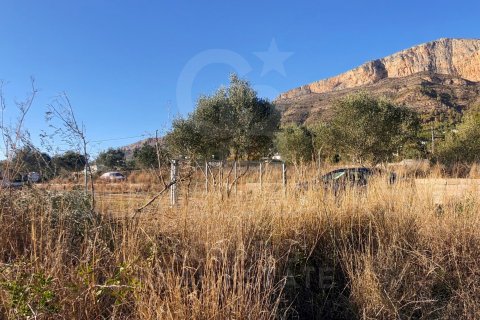 Land zum Verkauf in Javea, Alicante, Spanien 5400 m2 Nr. 160208 - Foto 17