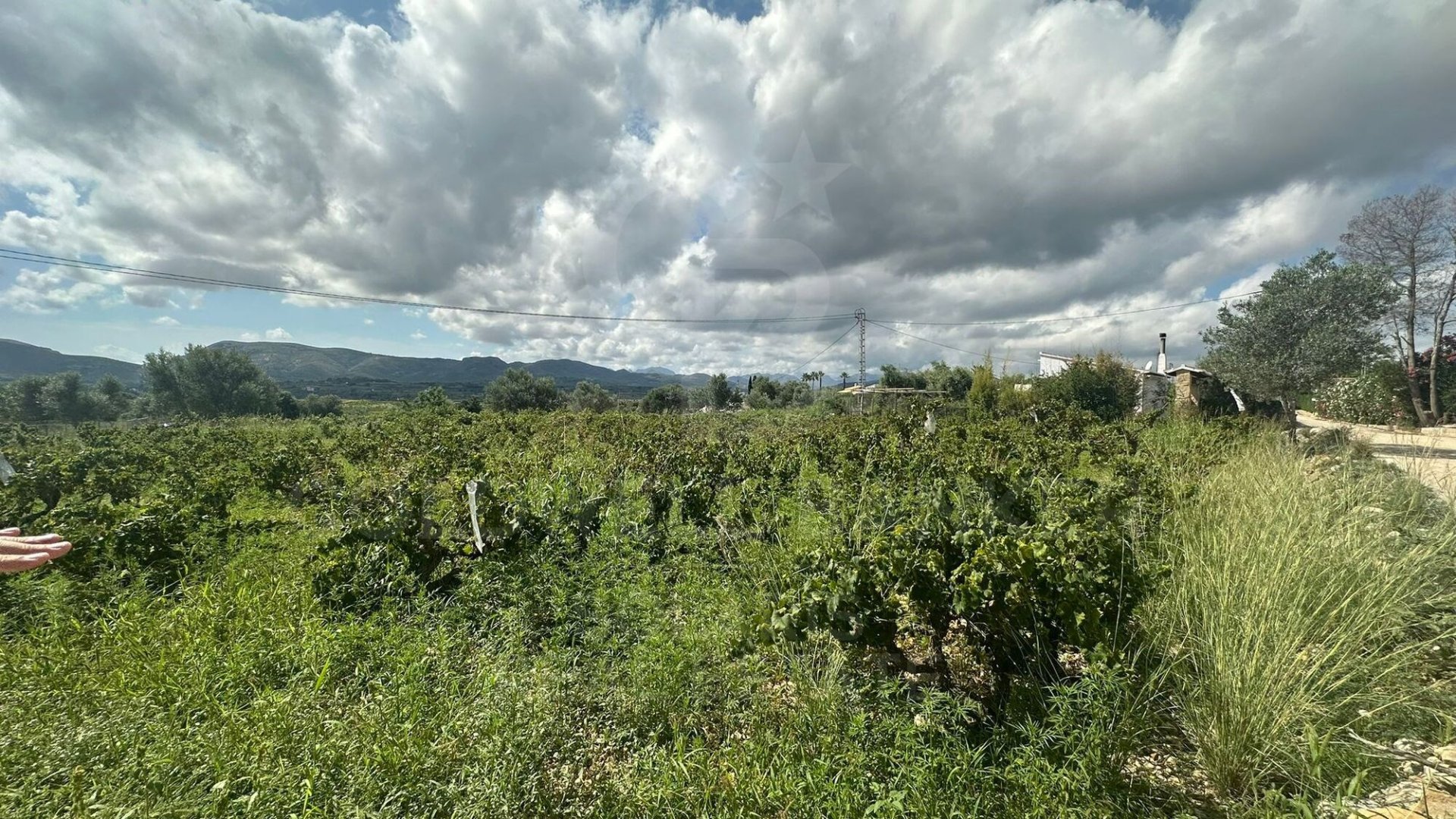Земельный участок в Хавеа, Аликанте, Испания 5400м2 №160208