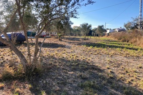 Land zum Verkauf in Javea, Alicante, Spanien 5400 m2 Nr. 160208 - Foto 21