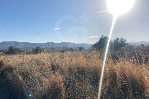Land zum Verkauf in Javea, Alicante, Spanien 5400 m2 Nr. 160208 - Foto 22