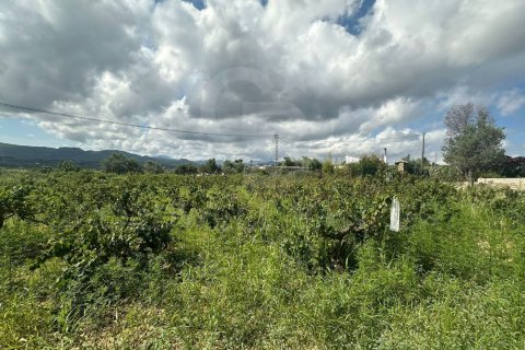 Land zum Verkauf in Javea, Alicante, Spanien 5400 m2 Nr. 160208 - Foto 9