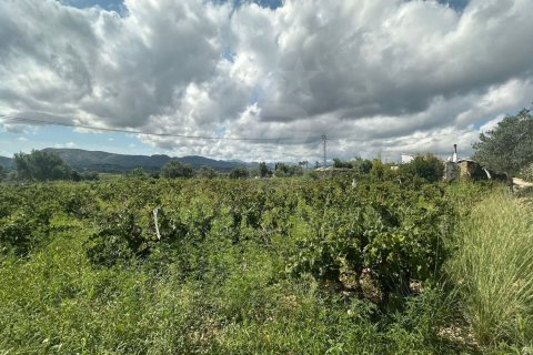 Zemes gabals pārdošanā Javea, Alicante, Spānijā 5400 m2 Nr. 160208 - attēls 9