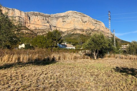 Land zum Verkauf in Javea, Alicante, Spanien 5400 m2 Nr. 160208 - Foto 19