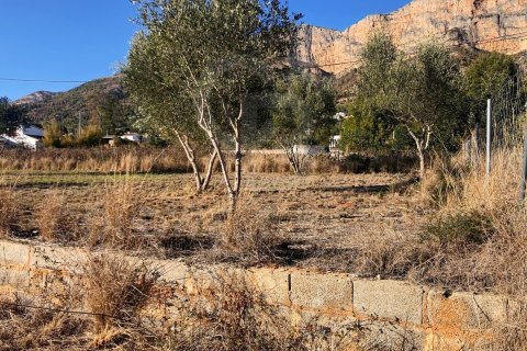 Land zum Verkauf in Javea, Alicante, Spanien 5400 m2 Nr. 160208 - Foto 14